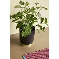 Hubsch Embrace Feuilles Laiton (ensemble De 3) | 991124