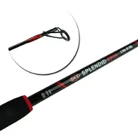 DLT Splendid Spin 1,80m 10-30g