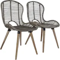 vidaXL Chaise de salle à manger 2 pcs. Marron Rotin naturel