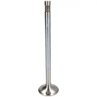 TRW Soupape d'échappement 105-35638