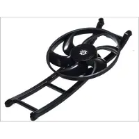 THERMOTEC Ventilateur, refroidissement moteur D8F003TT