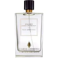 Simone Andreoli Malibu Eau de Parfum 100 ml