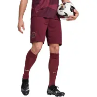 Puma Pantalon de sport 'Manchester City 24/25'