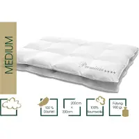 HANSKRUCHEN GmbH HANSKRUCHEN couette en duvet 200x220 cm chaleur moyenne 100% duvet lavable pour personnes allergiques respirante à caissons blanche
