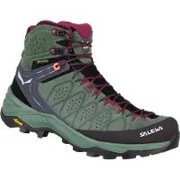 Salewa Chaussures de randonnée femme Ws Alp 2