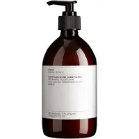 Evolve Organic Beauty Après-shampoing Beauty Superfood Shine 500 ml Contrôle des frisottis Brillance et hydratation