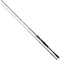 Daiwa Prorex Xr Baitcasting Rod Argenté 2.64 m / 100-250 g
