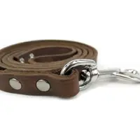 Brekz Laisse en cuir marron pour chien