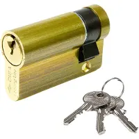 Cisa Cylindre Logo STD 08030.02.0 Laiton Moyen (40 mm)