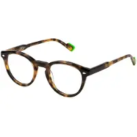 Sting Lunettes de Vue - - VST505L - Avana gialla lucida - Acétate - Small Size