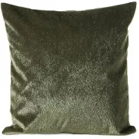 Eurofirany 334579 Taie D'oreiller Olive 45 X 45 Cm Polyester