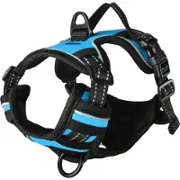Flamingo Balou Dog Harness Bleu 30-45 cm x 15 mm
