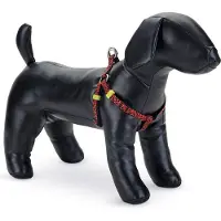 Beeztees Bz Ny Gesch Scribbles Noir (S, Chien, Général)