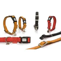 Beeztees COLLIER BZ MACL ROUGE 20X35-50 (Chien, Général)