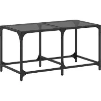 vidaXL Table basse avec plateau en verre noir 78,5x40x40 cm acier