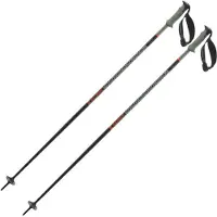 Salomon Polar Pro S3 Poles Argenté 120 cm