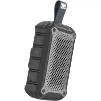 Kodak PWS-2259 Haut-parleur de 5 watts avec norme IPX6 (10 h), Enceinte Bluetooth, Gris