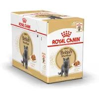 Royal Canin British Shorthair Adult - Sachet