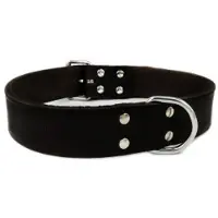 Brekz Collier en cuir noir pour chien