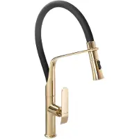 REA Robinet De Cuisine Castor Gold