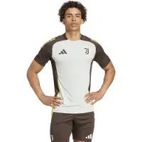 Adidas Juventus 24/25 Tiro 24 Competition Training Short Sleeve T-shirt Gris S Homme