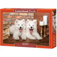 Castorland Puzzle 1000 pièces Chiots Samoyède disent Bonjour 105137