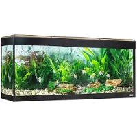 Fluval Roma Led Bluetooth 240l Aquarium Vert