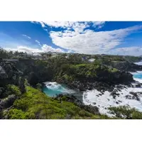 Bluebird Puzzle Ravine des Cafres, La Réunion, France