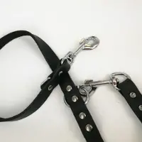 Brekz Laisse en cuir noir pour chien