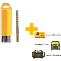 Dewalt Dt5557-qz Metal Drill Bit 10.0 Mm 10 Units Doré