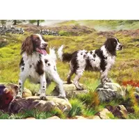 Sonstige Verlage Puzzle de 1 000 pièces « Spaniels on the Moor »