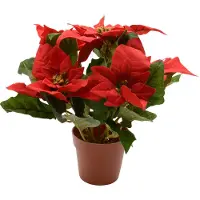 Décoris Dekorationspflanze Rot Weihnachtsstern Ø 27 cm
