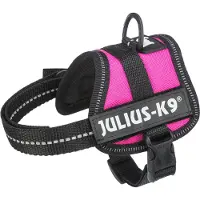 Julius-K9 Julius K9 Power Harness / Harnais Pour Etiquettes Fuchsia
