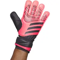 Adidas Gants d'entraînement Predator Hommes Gants du gardien de but IX3871