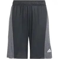 Adidas Pantalon de sport 'Training AEROREADY Heather Shorts' gris / noir
