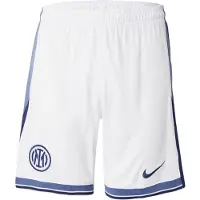 Nike Pantalon de sport 'INTER M STAD AW'
