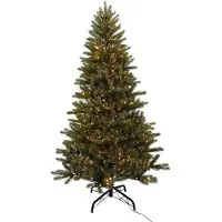 Wintervalley Trees - Arbre de Noël artificiel Lucas avec lumière - 138x240cm - Vert