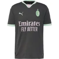 Puma Maillot 'AC Milan 24/25' gris / menthe / blanc