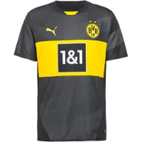 Puma Maillot 'Borussia Dortmund 24/25'