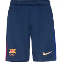 Nike Pantalon de sport