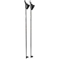 LEKI Xta Track Poles Argenté 160 cm