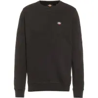 Dickies Sweat-shirt 'Oakport' bleu / rouge cerise / noir / blanc