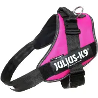 JULIUS K-9 Idc Power Mini Dog Harness Rose Mini