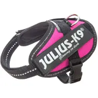 Julius-K9 Idc Power Baby Dog Harness Bleu Baby 2