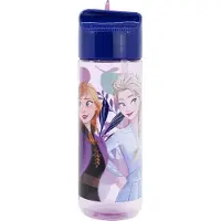 Disney Frozen Ecozen Hidro Wasserflasche für Kinder 540ml