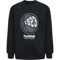 Hummel Sweat 'LOKSI' | 176 | boy