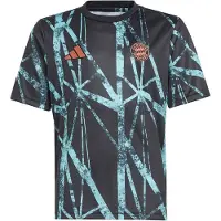 Adidas T-Shirt fonctionnel 'Pre-Match Away 24-25'
