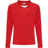 Hummel T-Shirt fonctionnel rouge / blanc