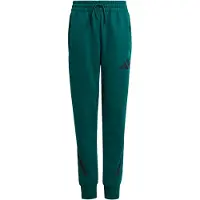 Adidas Pantalon de sport 'Z.N.E.' | 128 | boy