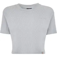 Dickies T-shirt 'PLENTYWOOD TEE SS W'